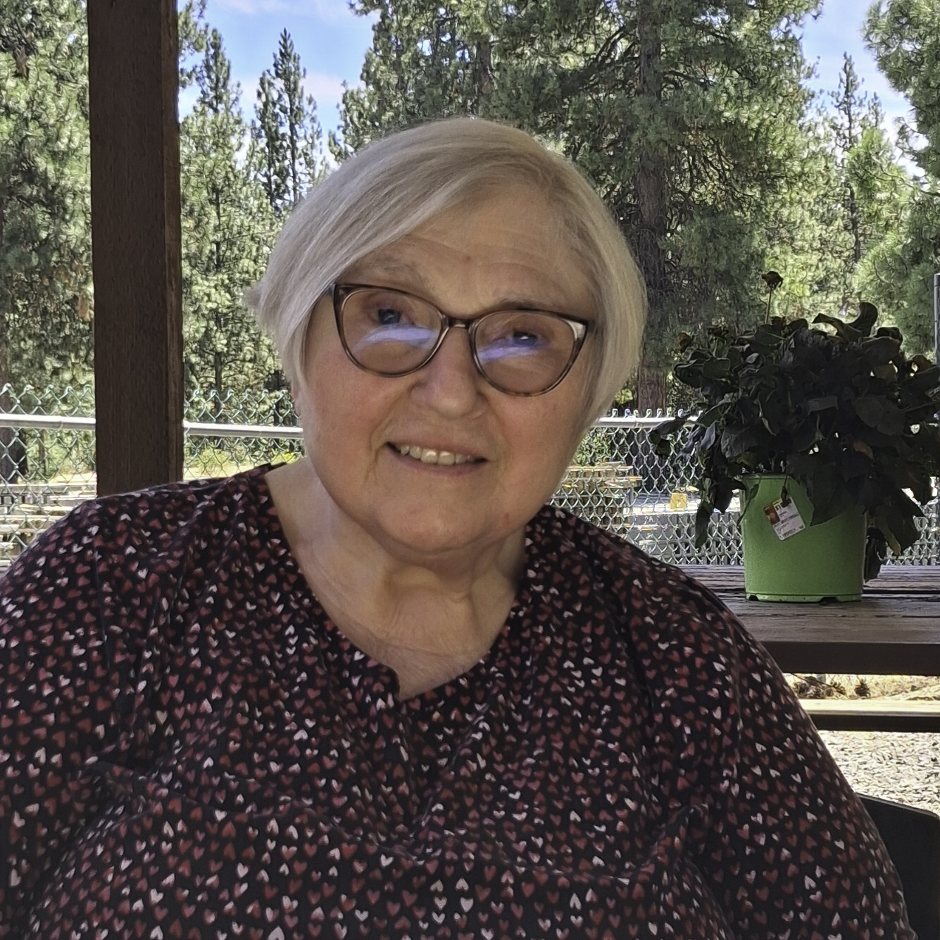 Rosemarie Dobbs